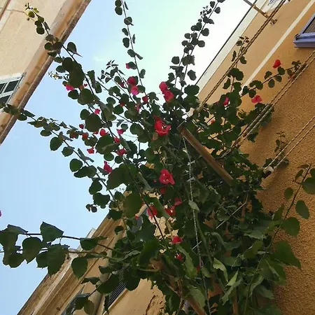 Vicolo Fiorito Appartement