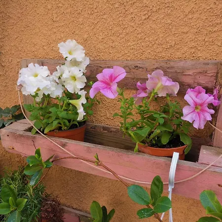 Appartamento Vicolo Fiorito