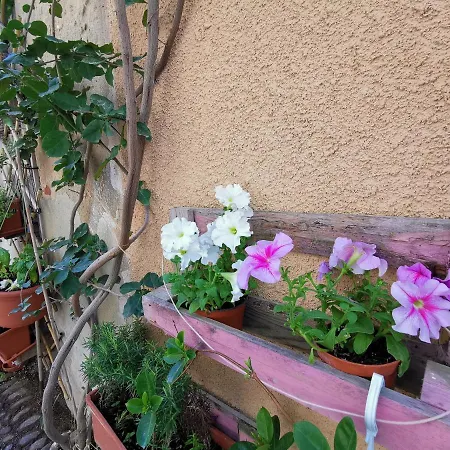 Appartamento Vicolo Fiorito Alghero