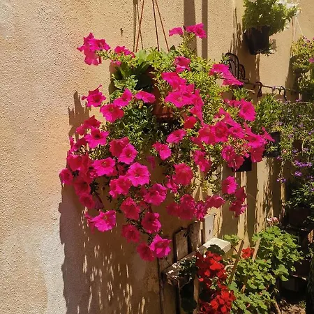 Vicolo Fiorito Appartamento *